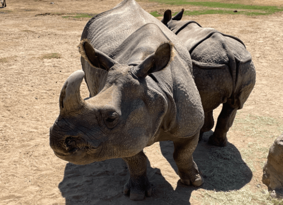 san diego weekend getaway