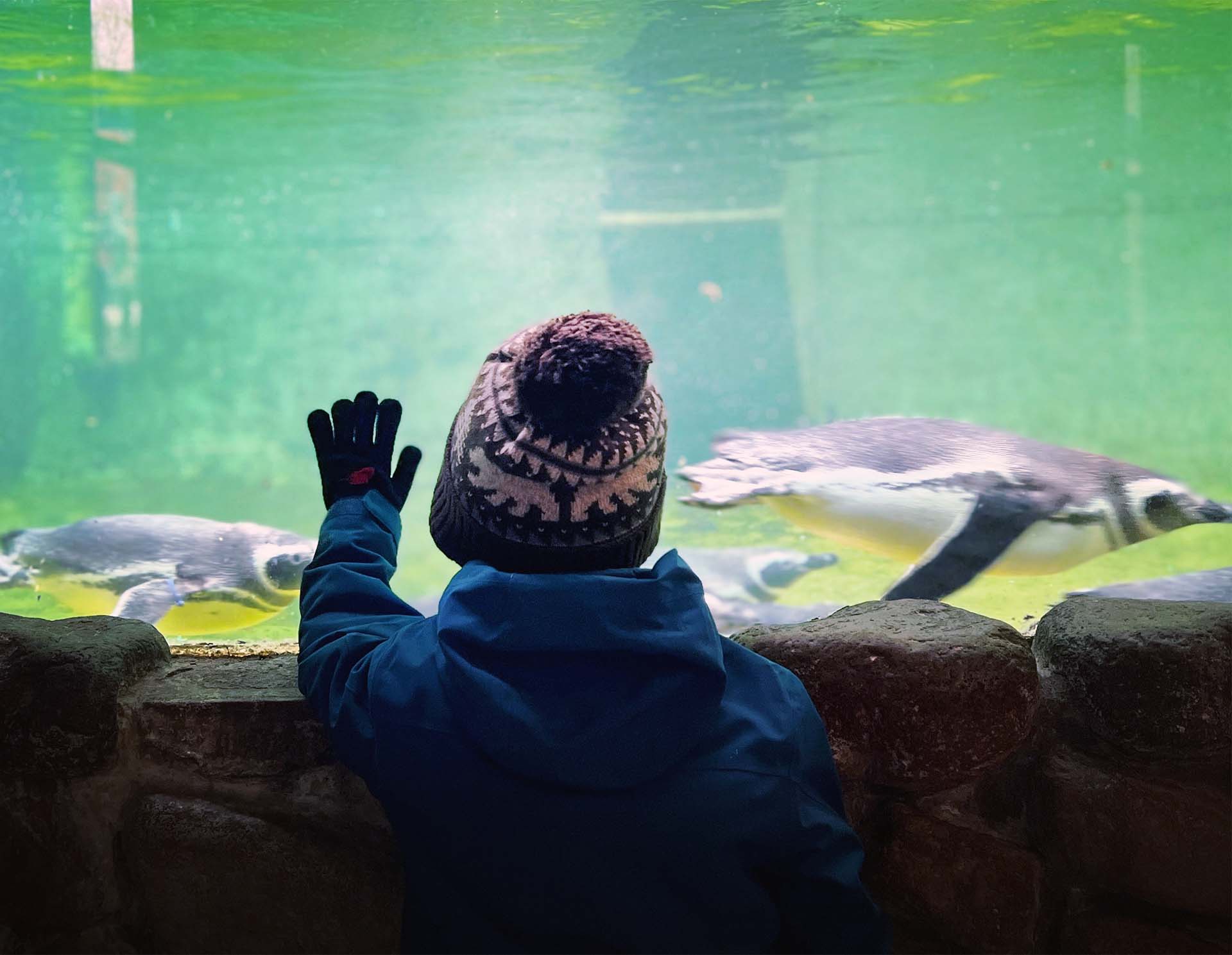 Boise Idaho Zoo