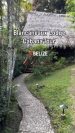 Blancaneaux Lodge in Belize strikes the perfect balance between luxury and rustic. 

We stayed in Cabana 10, which had all the necessary amenities for a comfortable stay, including seating areas, screened patio, and hammock. 

There are no televisions and only a “shellphone” for you to contact the front desk and concierge directly. Each morning you can have your complementary breakfast and coffee delivered to your room-which we enjoyed every morning!

We can’t wait to return to @blancaneauxlodge 

#coppola #blancaneauxlodge #belizevacation #belize #familyvacay